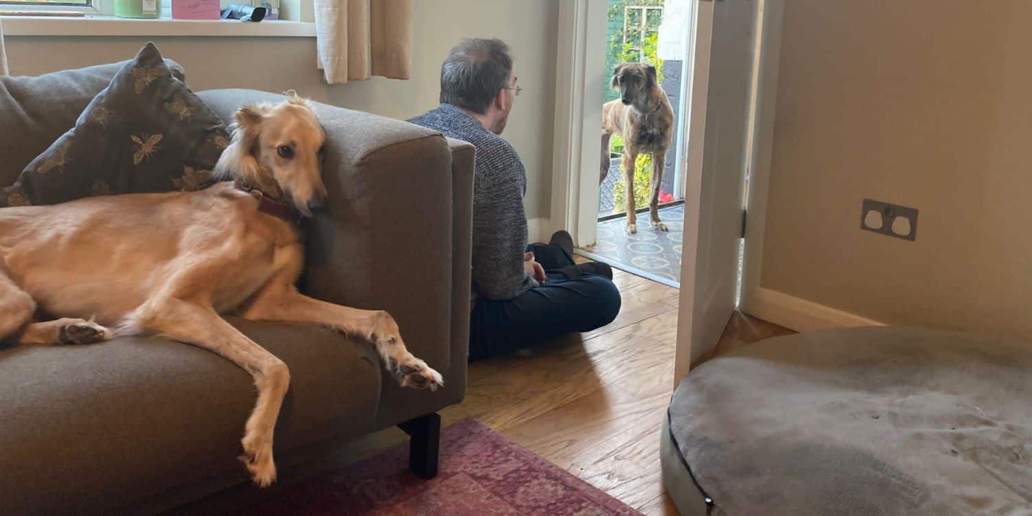 Suki learning what it looks like indoors!